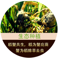 覆蓋全球95%的國外采購商